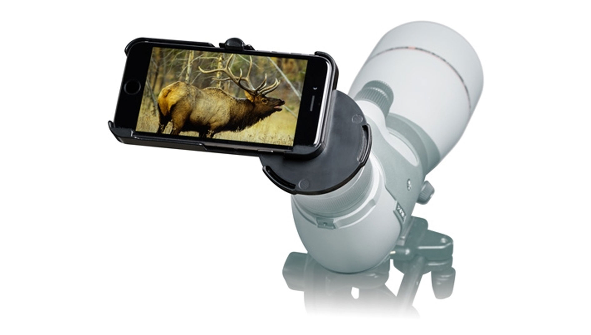 use cell phone to take hunting photos
